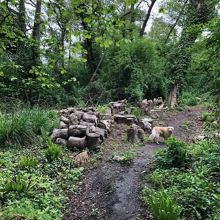 Les Nord'mandines Pensionat Trouville-sur-mer