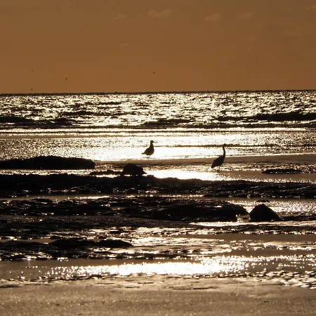 Les Nord'mandines