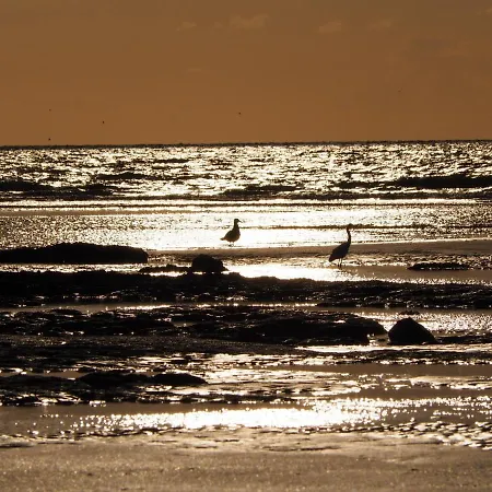Les Nord'mandines