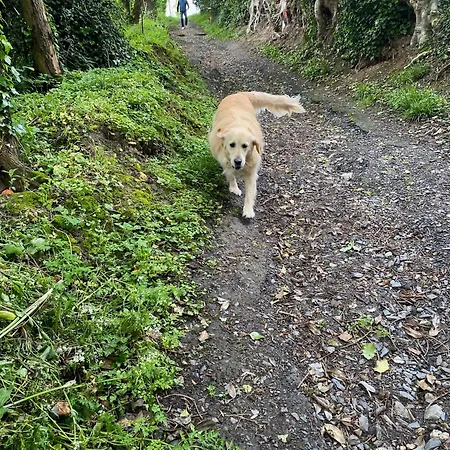Casa de hóspedes Les Nord'mandines