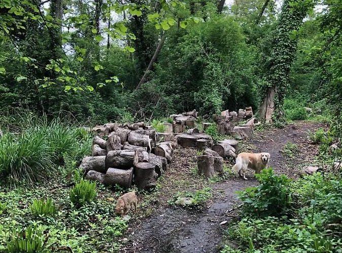 Les Nord'mandines Guest house Trouville-sur-Mer