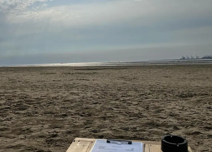 Les Nord'mandines Trouville-sur-Mer