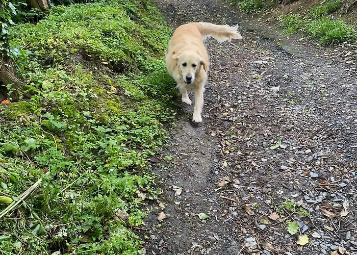 Guest house Les Nord'mandines